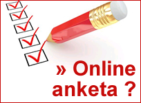 online anketa