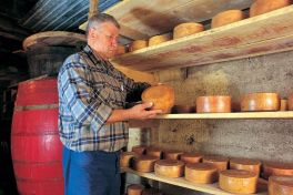 Posjet najboljoj hrvatskoj tvornici sira